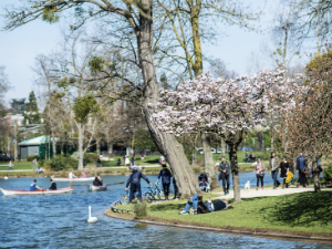 LE BOIS DE VINCENNES LE BOIS DE VINCENNES