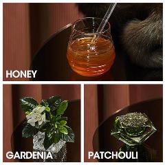Scandal: New Jean-Paul Gaultier's fragrance Scandal: New Jean-Paul Gaultier's fragrance
