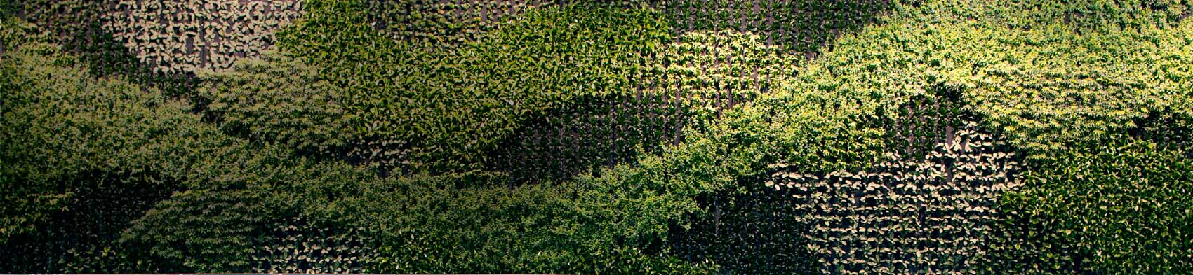 Developpement durable, Groupe, Aéroports de Paris