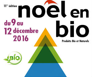 Affiche Salon Noel en bio Paris Affiche Salon Noel en bio Paris