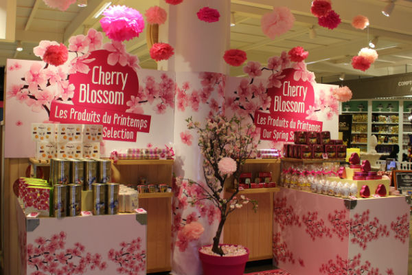 blossom-meduim blossom-meduim