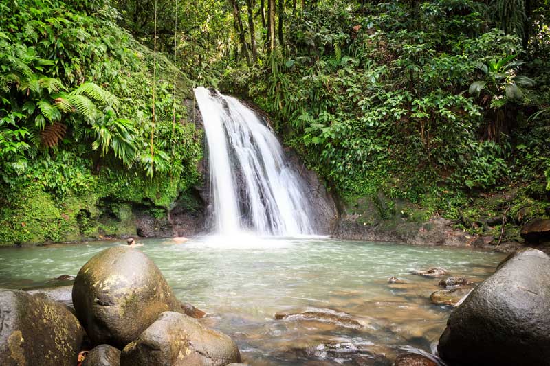 Cascade en Guadeloupe dans une forêt